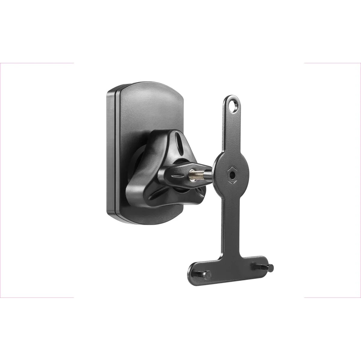 Speaker Mount